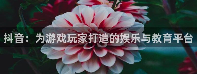pp电子技术有限公司官网