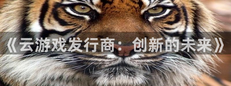 陕西pp电子子文化创意有限公司是做什么的：《云游戏发行商：创新的未来》
