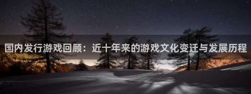 pp电子子的图片：国内发行游戏回顾：近十年来的游戏文化变迁与发展历程