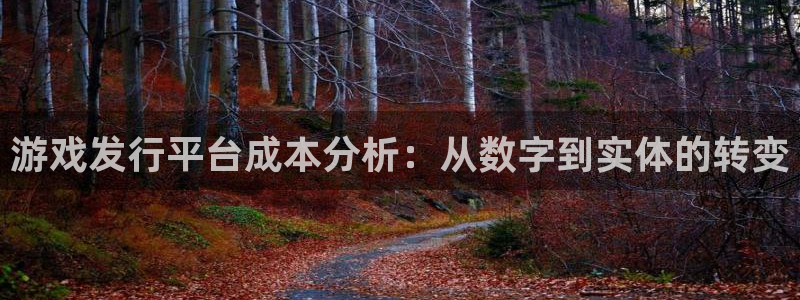 lvncespp电子衣服价格
