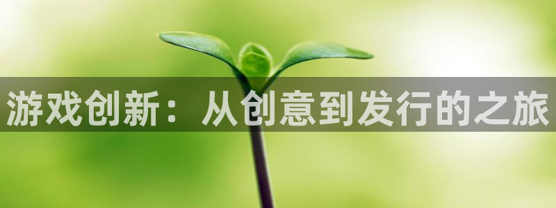 pp电子子市值：游戏创新：从创意到发行的之旅