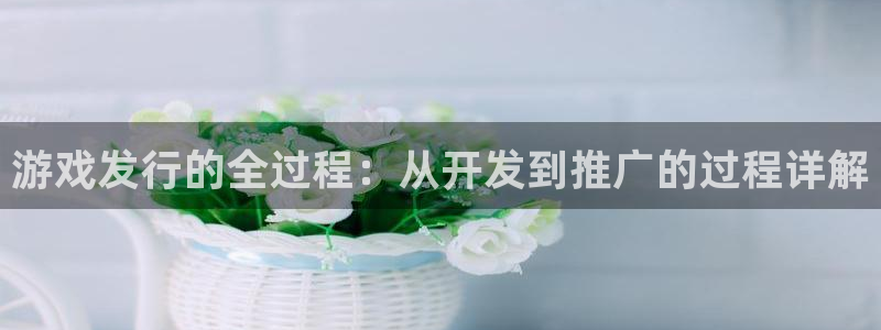 pp电子官网客服电话：游戏发行的全过程：从开发到推广的过程详解