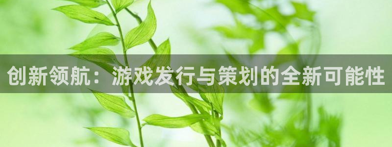 pp电子官网登录注册账号失败：创新领航：游戏发行与策划的全新可能性