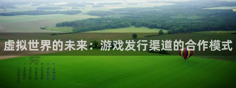pp电子电子商务有限公司怎么样啊：虚拟世界的未来：游戏发行渠道的合作模式