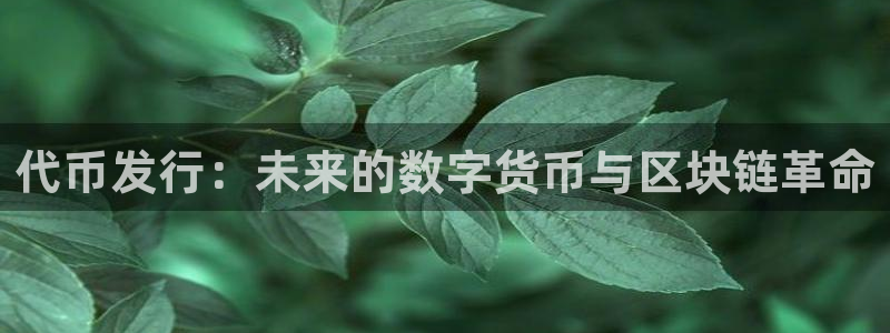 pp电子子怎么来的