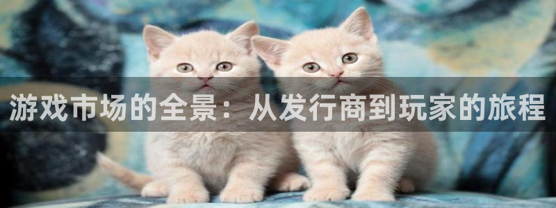pp电子子上市