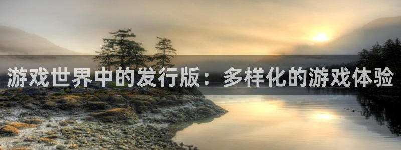 pp电子品牌logo：游戏世界中的发行版：多样化的游戏体验