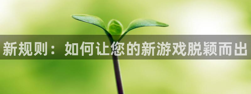 pp电子官网注册平台登录入口：新规则：如何让您的新游戏脱颖而出