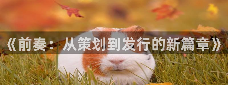 pp电子子赚话费