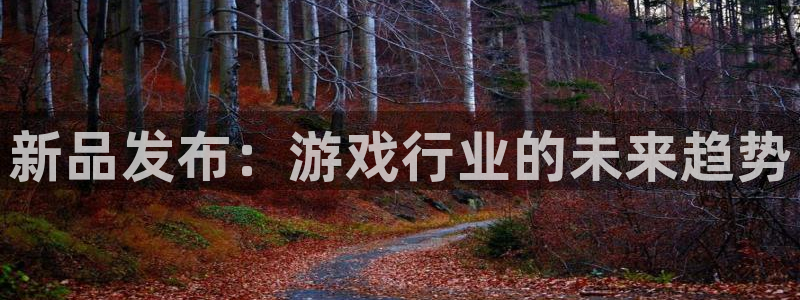 pp电子官网注册平台怎么注册不了