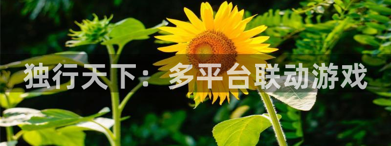 pp电子官网奇趣腾讯分分彩