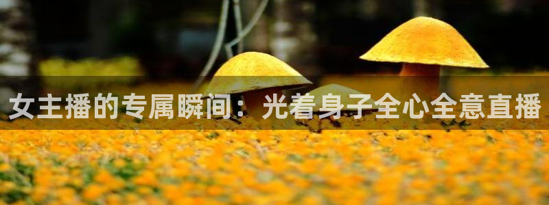 绿茵体育比赛直播