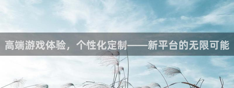 pp电子户外：高端游戏体验，个性化定制——新平台的无限可能