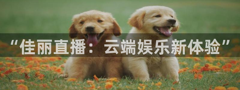 绿茵足球直播间：“佳丽直播：云端娱乐新体验”