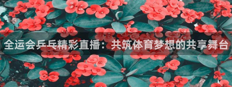 绿茵足球：全运会乒乓精彩直播：共筑体育梦想的共享舞台