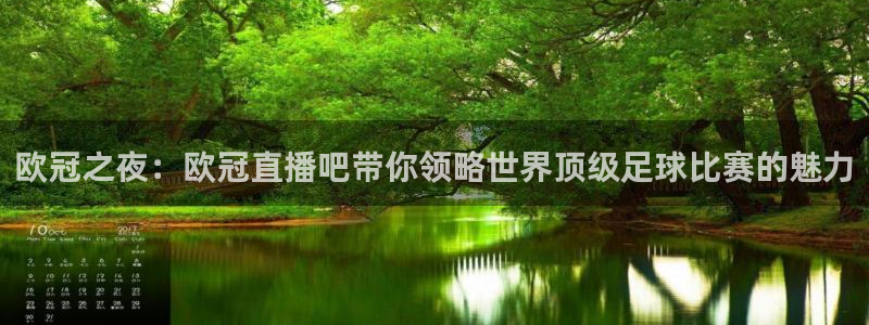 绿茵直播免费观看比赛：欧冠之夜：欧冠直播吧带你领略世界顶级足球比赛的魅力