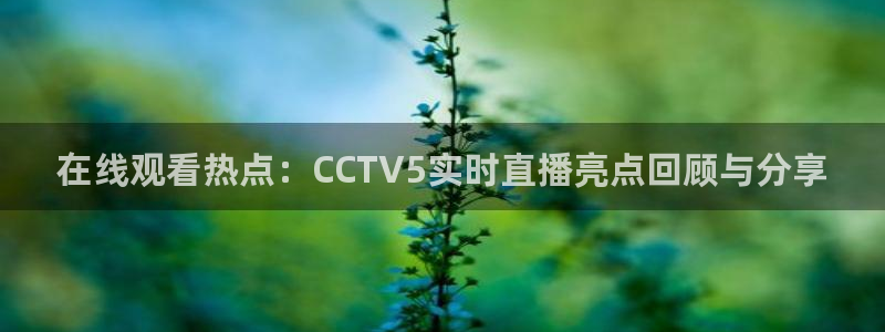 绿茵足球直播间：在线观看热点：CCTV5实时直播亮点回顾与分享
