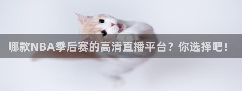 绿茵直播nba：哪款NBA季后赛的高清直播平台？你选择吧！