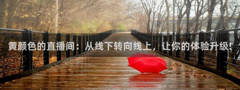 绿茵直播体育app下载：黄颜色的直播间：从线下转向线上，让你的体验升级!