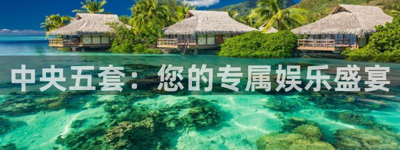 绿茵直播体育app下载安装最新版：中央五套：您的专属娱乐盛宴