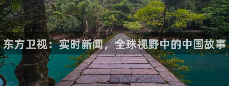 绿茵直播免费观看比赛：东方卫视：实时新闻，全球视野中的中国故事